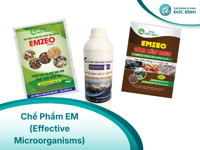 Chế phẩm Em gốc của Đức Bình đa dạng chủng loại, phục vụ nhiều mục đích