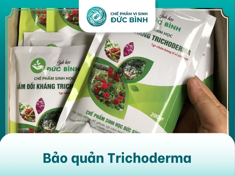 Cách bảo quản nấm trichoderma 