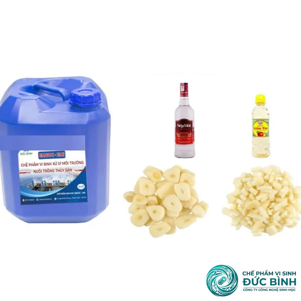 Pha chế EM tỏi từ chế phẩm Em gốc