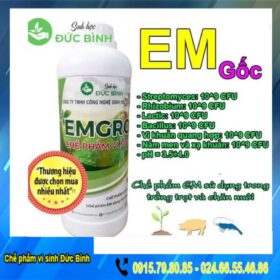 Chế phẩm sinh học EMGRO