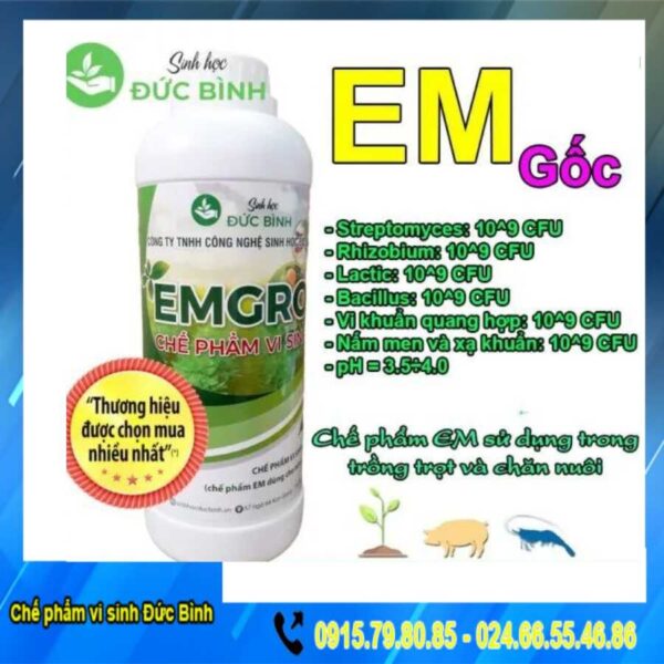 Chế phẩm sinh học EMGRO