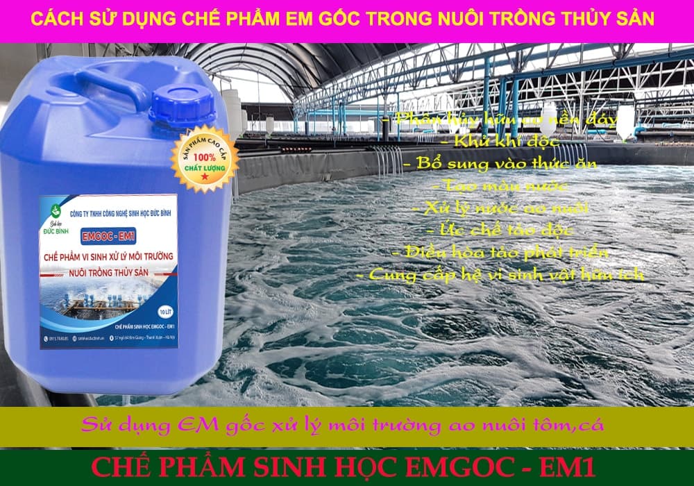 CHẾ PHẨM EM GỐC – EM1 4 Chế phẩm EMgoc-EM1 có tốt không
