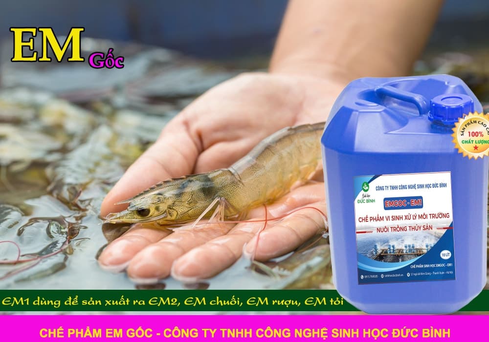 CHẾ PHẨM EM GỐC – EM1 3 Chế phẩm sinh học EM gốc- EM1 dùng để làm gì (2)