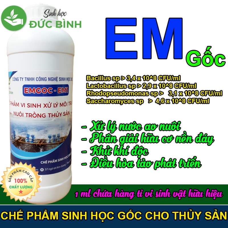 CHẾ PHẨM EM GỐC – EM1 1 Chế phẩm sinh học EM gốc