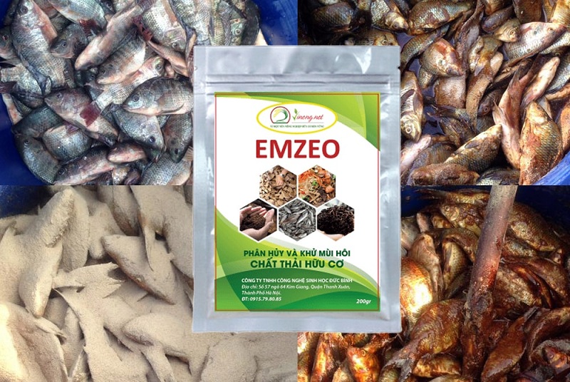 CHẾ PHẨM EMZEO 5 Chế phẩm vi sinh EMZEO phân hủy và khử mùi hôi phân cá