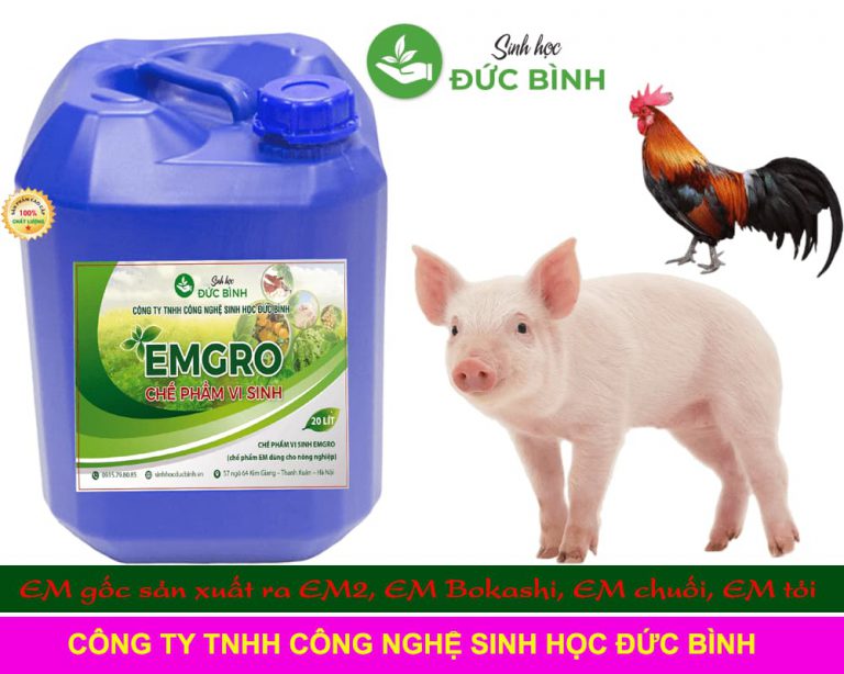 Vi sinh vật nông nghiệp