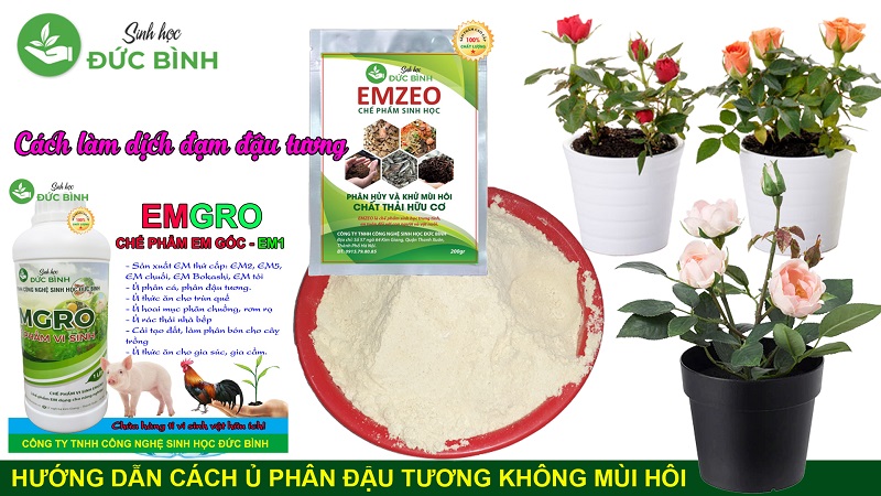 Chế phẩm vi sinh vật hữu hiệu EMZEO