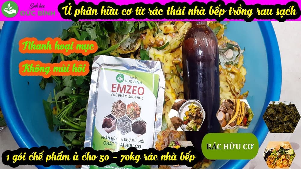 Rác hữu cơ là gì? Top 3 loại men vi sinh xử lý ủ rác hữu cơ hiệu quả nhất hiện nay 5 Cách ủ rác nhà bếp thành phân bón hữu cơ
