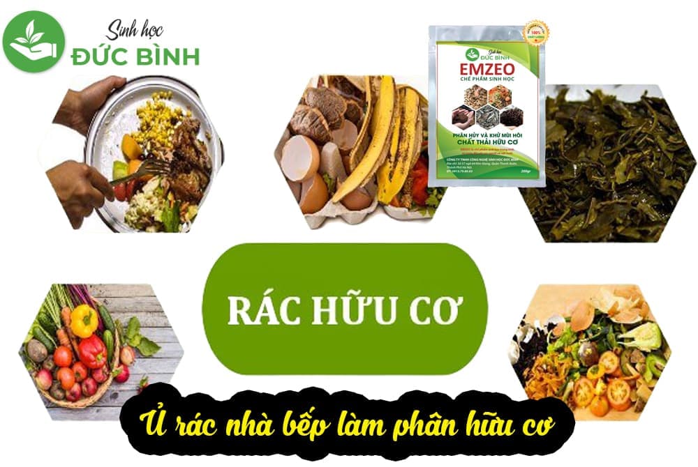 Rác hữu cơ là gì? Top 3 loại men vi sinh xử lý ủ rác hữu cơ hiệu quả nhất hiện nay 3 Cách ủ rác nhà bếp