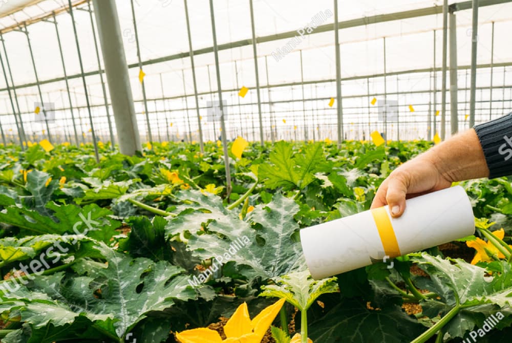 Thuốc trừ sâu sinh học là gì? Các loại thuốc trừ sâu sinh học hiện nay 3 Thuốc trừ sâu vi sinh