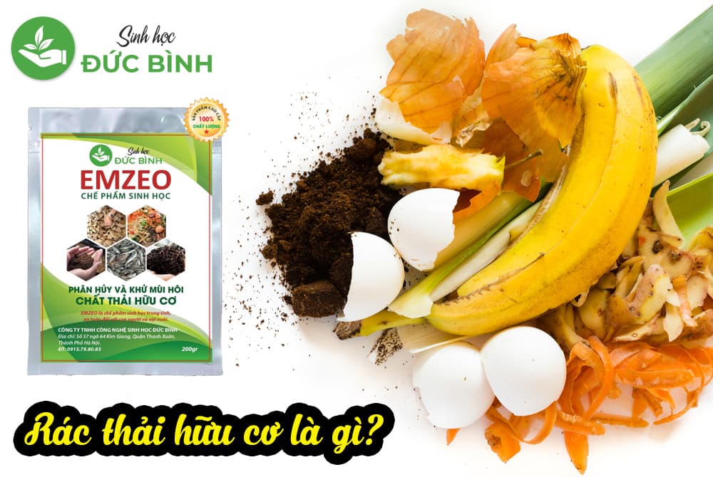 Rác hữu cơ là gì? Top 3 loại men vi sinh xử lý ủ rác hữu cơ hiệu quả nhất hiện nay 2 rác hữu cơ là gì