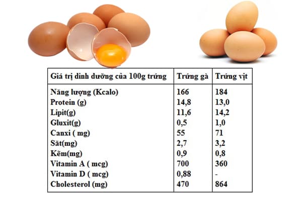 Tuyệt chiêu bón trứng gà cho hoa hồng – Siêu phân bón cho hoa hồng 1 Bón trứng gà cho hồng