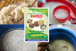 Cách ủ bã đậu nành với chế phẩm EM - EMZEO