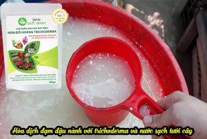 Cách chế biến và sử dụng bã đậu nành bón cây hiệu quả bất ngờ! 5 Cách sử dụng phân ủ từ bã đậu nành