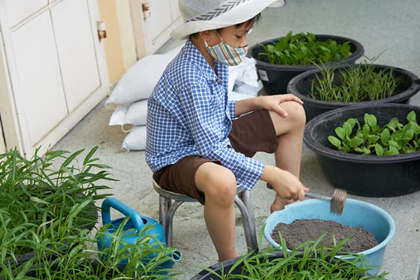 Hướng dẫn Cách xử lý đất trước khi trồng rau sạch 5 Xử lý đất trước khi trồng rau