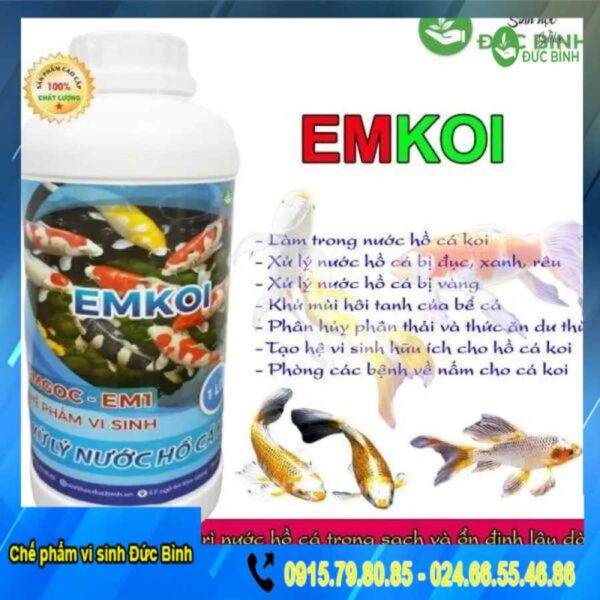 Vi sinh cho hồ cá koi EMKOI
