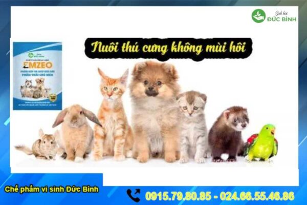 Khử mùi hôi thú cưng