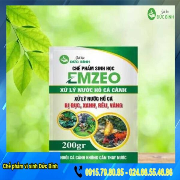 Vi sinh xử lý nước hồ cá cảnh