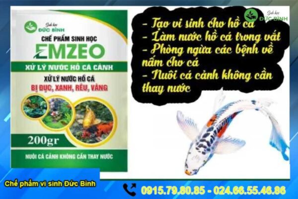 Xử lý nước hồ cá cảnh - cá koi