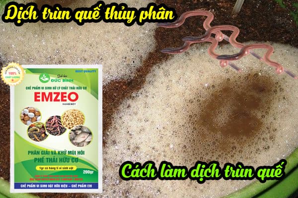 Dịch trùn quế là gì? Cách sản xuất và sử dụng dịch trùn quế bón cây 3 CÁCH LÀM DỊCH TRÙN QUẾ