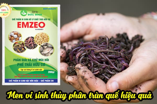 Dịch trùn quế là gì? Cách sản xuất và sử dụng dịch trùn quế bón cây 4 CÁCH Ủ DỊCH TRÙN QUẾ