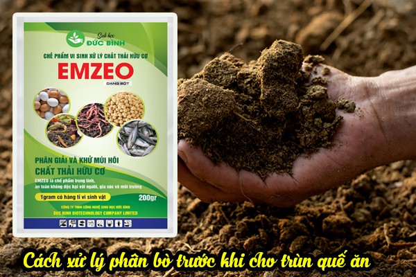 Thức ăn của trùn quế là gì? Cách ủ và cách cho giun quế ăn 4 Cách ủ thức ăn cho trùn quế
