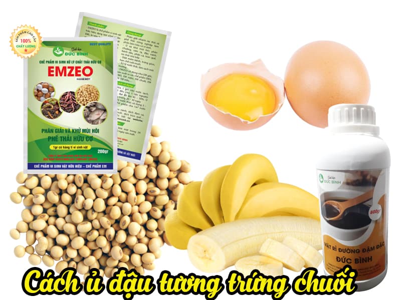 Bật mí cách ủ đậu tương trứng chuối làm siêu phân bón cho hoa hồng, hoa lan, cây cảnh 3 Cách ủ đậu tương trứng chuối