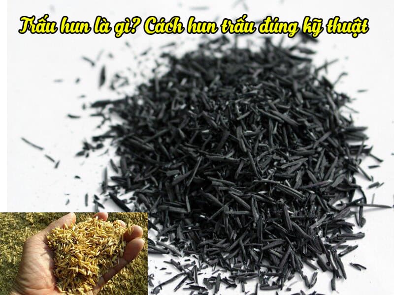 Trấu hun là gì? Cách hun trấu đúng kỹ thuật 1 Cách hun trấu đúng kỹ thuật