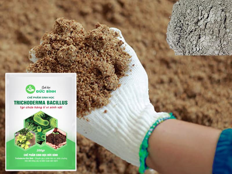 Bí quyết ủ bánh dầu không hôi làm phân bón cây! 4 Cách ủ bánh dầu với nấm trichoderma - ủ khô