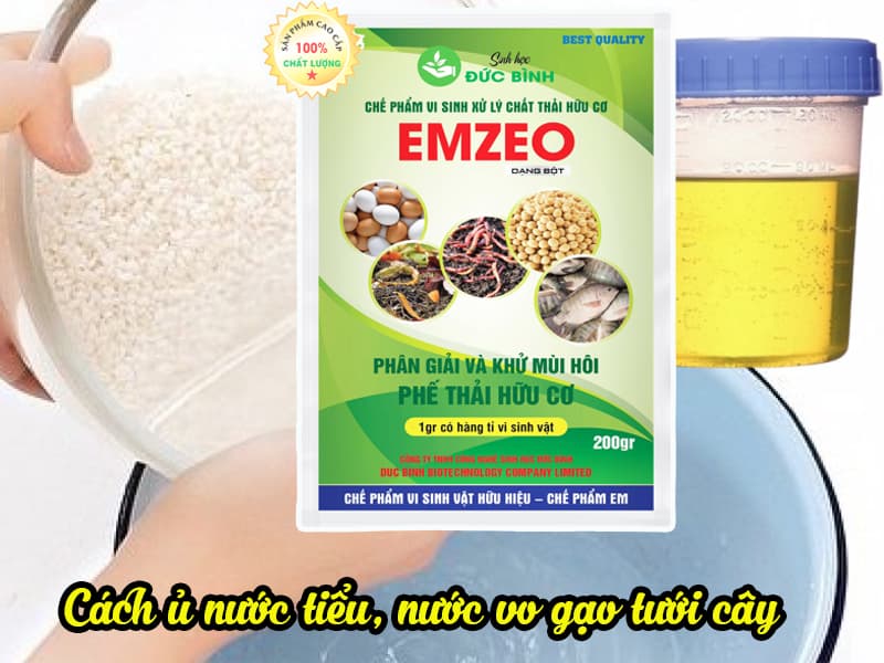 Có phải cứ áp dụng cách ủ nước tiểu, nước vo gạo tưới cây là tốt? 8 Cách ủ nước vo gạo, nước tiểu tưới cây