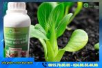 Chế phẩm đạm cá humic Đức Bình - Ảnh 5