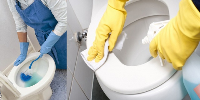 Men xử lý bể phốt có công dụng gì? Loại men xử lý bể phốt tốt nhất hiện nay? 5 Một trong những công dụng mà người tiêu dùng không thể chối bỏ đó là mang đến không gian sống sạch và hợp vệ sinh