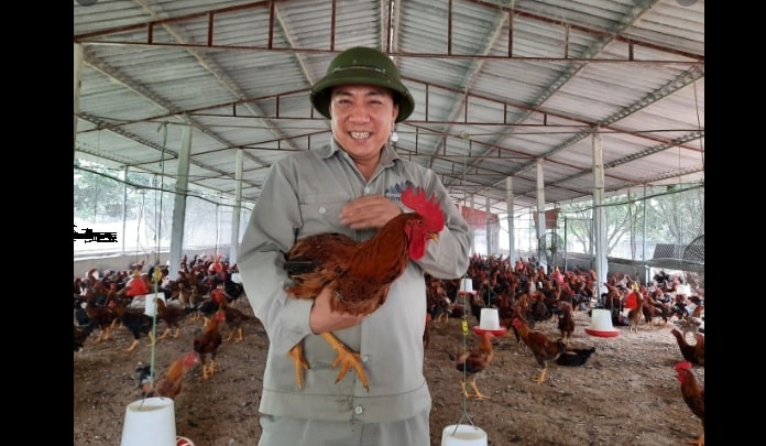 3 Cách khử mùi hôi chuồng gà hiệu quả không phải ai cũng biết 4 Xử lý mùi hôi chuồng trại góp phần tăng chất lượng sức khỏe đàn gà