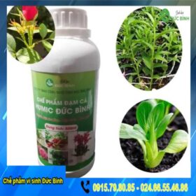 CHẾ PHẨM ĐẠM CÁ HUMIC
