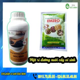 MẬT RỈ ĐƯỜNG ĐỨC BÌNH