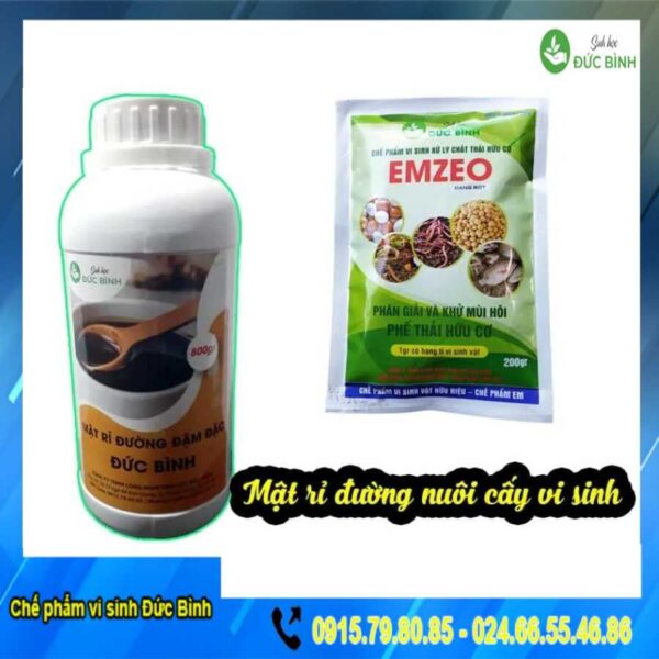 MẬT RỈ ĐƯỜNG ĐỨC BÌNH