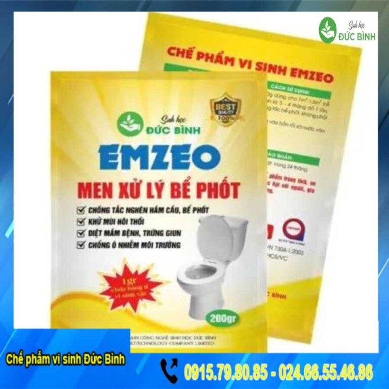 Men bể phốt
