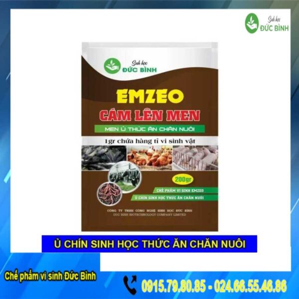 Men ủ thức ăn chăn nuôi