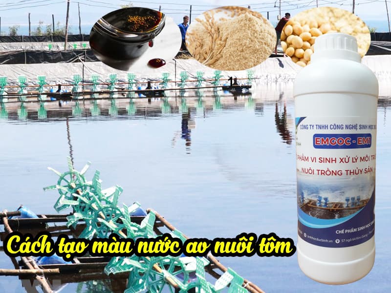 Cách gây màu nước bằng cám gạo, mật rỉ đường nuôi tôm cá đúng kỹ thuật 6 Sử dụng chế phẩm EM gốc ( EM1 ) là cách gây màu nước hiệu quả nhất hiện nay