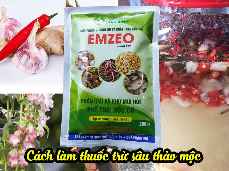 Chế phẩm EMZEO sử dụng làm thuốc trừ sâu sinh học thảo dược rất hiệu quả