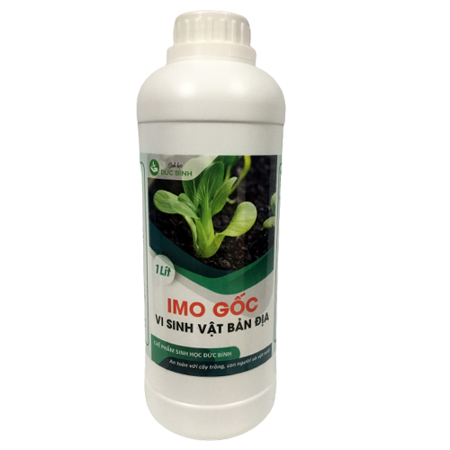 Chế phẩm IMO là gì? Hướng dẫn tự làm chế phẩm sinh học hiệu quả 1 IMO gốc Đức Bình sử dụng để sản xuất IMO đơn giản, dễ thực hiện