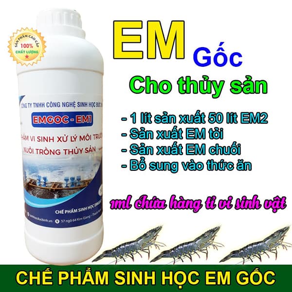 Cách nuôi tôm bằng chế phẩm EM đơn giản mà hiệu quả 1 Bạn đã biết cách nuôi tôm bằng chế phẩm EM chưa?