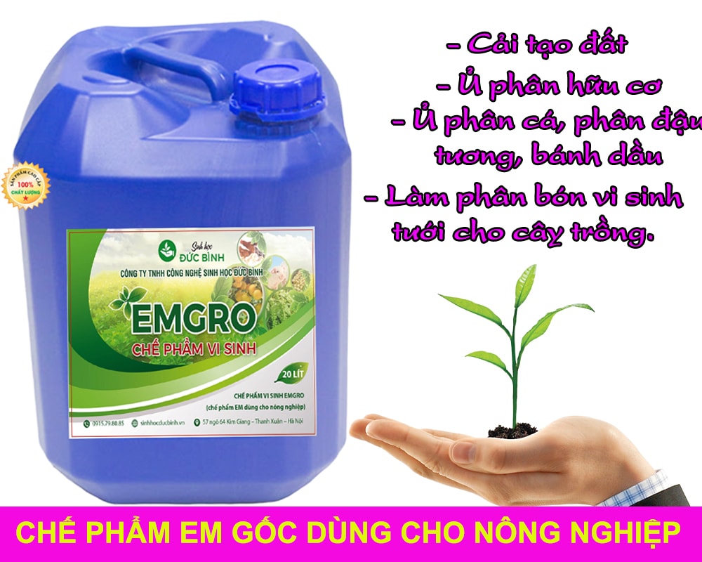 Sử dụng thêm EM gốc trong cách làm thuốc trừ sâu sinh học, thuốc trừ sâu thảo dược