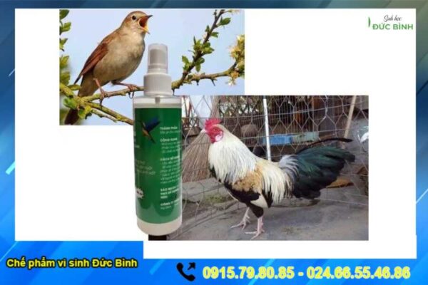 XỊT KHỬ MÙI HÔI CHIM CẢNH GÀ CẢNH