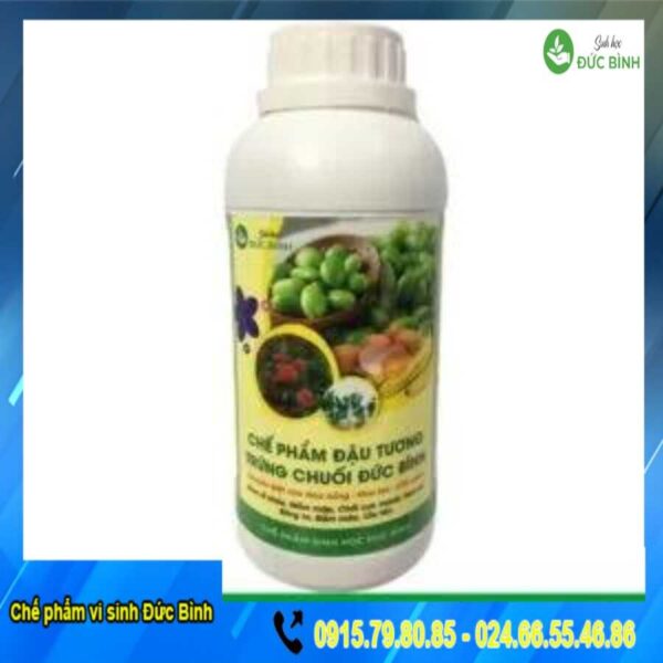 Chế phẩm Đậu tương trứng chuối Đức Bình