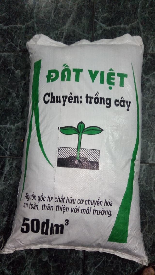 Đất Việt quen thuộc với mọi nhà