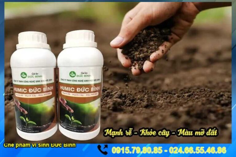 Humic Đức Bình giúp mạnh rễ, khỏe cây, màu mỡ đất ... còn được sử dụng để ủ đậu tương, dịch chuối, phân cá ... tạo ra phân đạm sinh học vô cùng hữu hiệu cho cây trồng