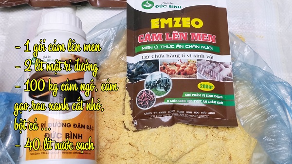 Hướng dẫn chi tiết cách ủ cám cho heo đạt chất lượng tốt nhất 7 Công thức và cách ủ cám cho heo ăn từ phế phẩm nông nghiệp