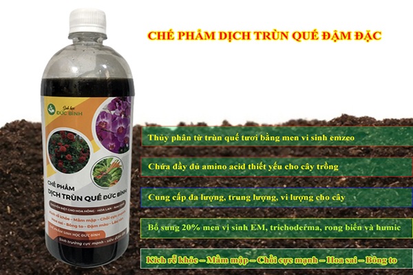 Dịch trùn quế Đức Bình 2 Dịch trùn quế Đức Bình chuyên biệt cho hoa hồng, hoa lan, rau quả