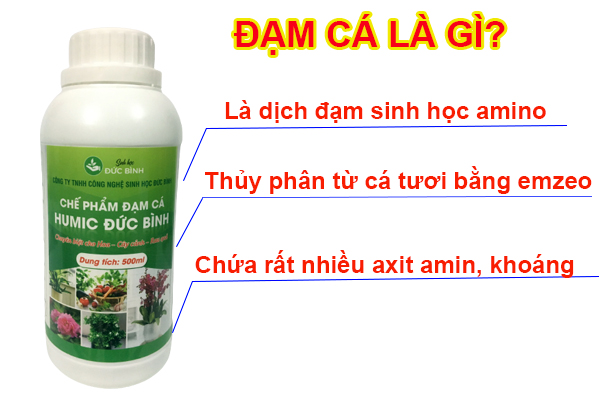 Cách sử dụng đạm cá hiệu quả cho từng loại cây trồng 1 Phân đạm cá là gì?